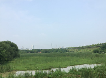 Stake(ÖйúÇø)¹Ù·½ÍøÕ¾