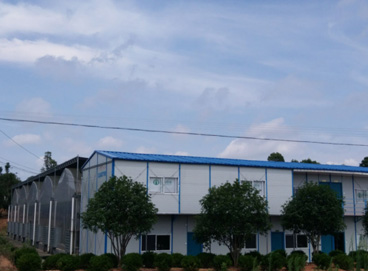 Stake(ÖйúÇø)¹Ù·½ÍøÕ¾