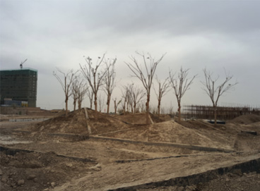 Stake(ÖйúÇø)¹Ù·½ÍøÕ¾