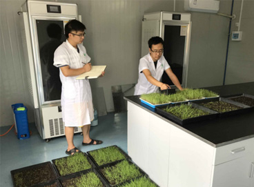 Stake(ÖйúÇø)¹Ù·½ÍøÕ¾